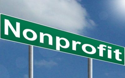 FOR-PROFIT, NON-PROFIT OR PEOPLE MOVEMENT